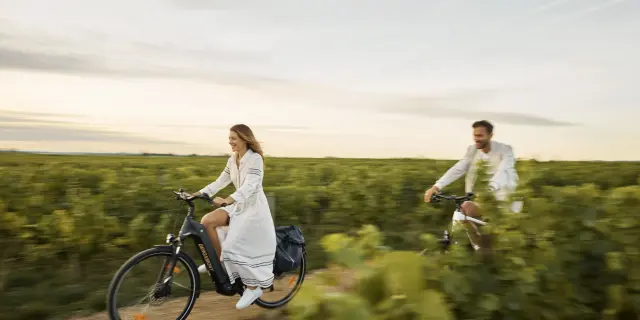 E Bike Experience Como Le Montrachet