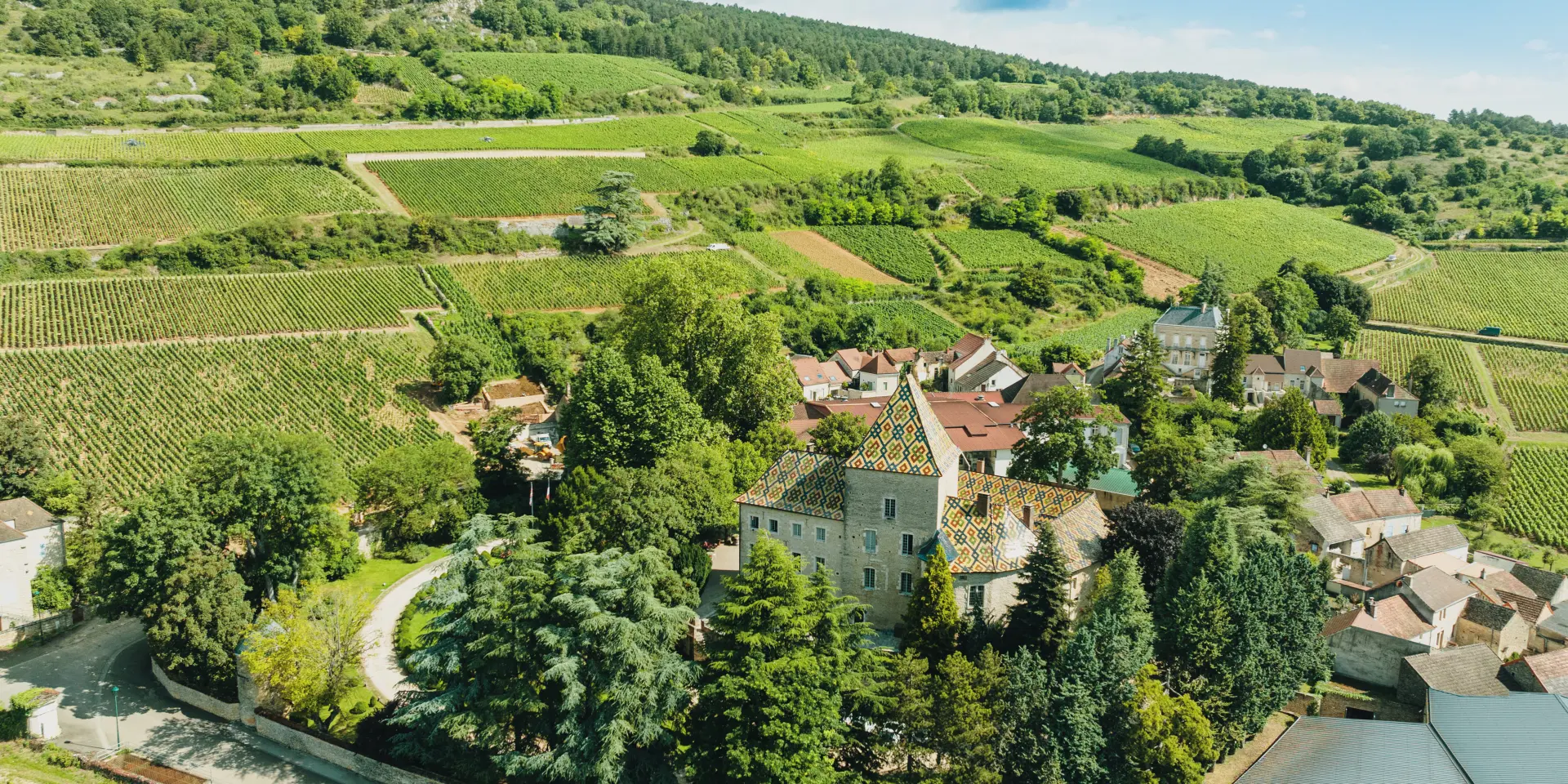 Vue panoramique vignoble Aloxe Corton