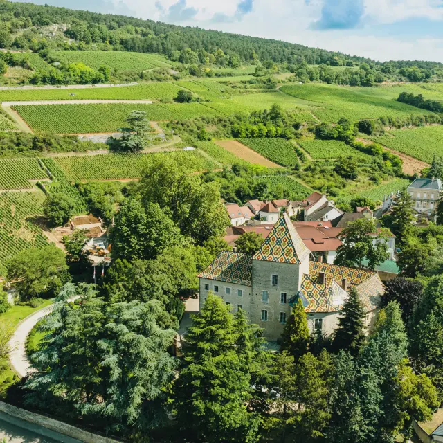 Vue panoramique vignoble Aloxe Corton