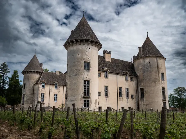 Savigny